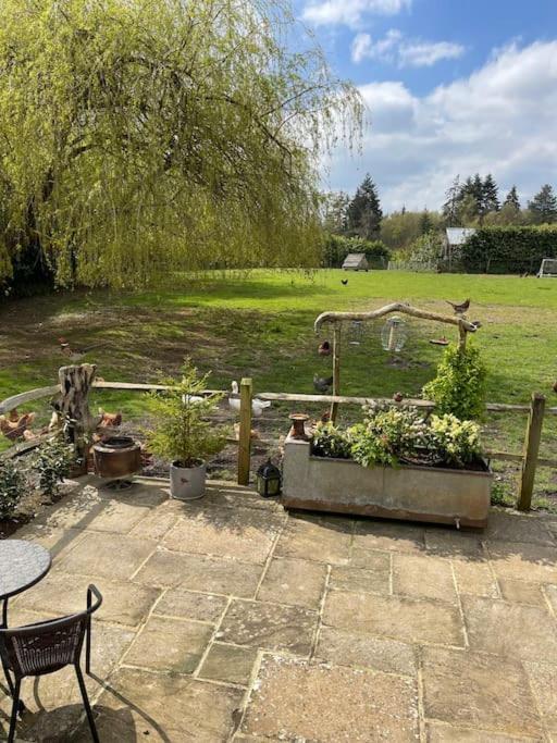 Forest View Shepherd Hut Ewhurst المظهر الخارجي الصورة