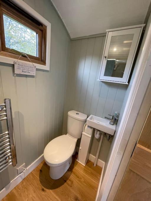 Forest View Shepherd Hut Ewhurst المظهر الخارجي الصورة