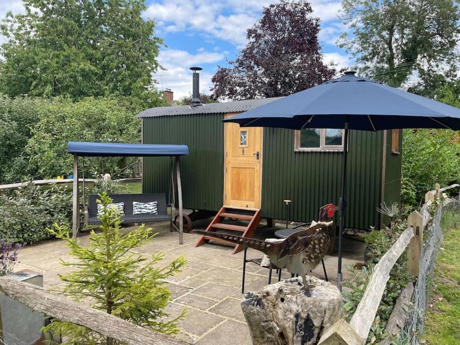 Forest View Shepherd Hut Ewhurst المظهر الخارجي الصورة